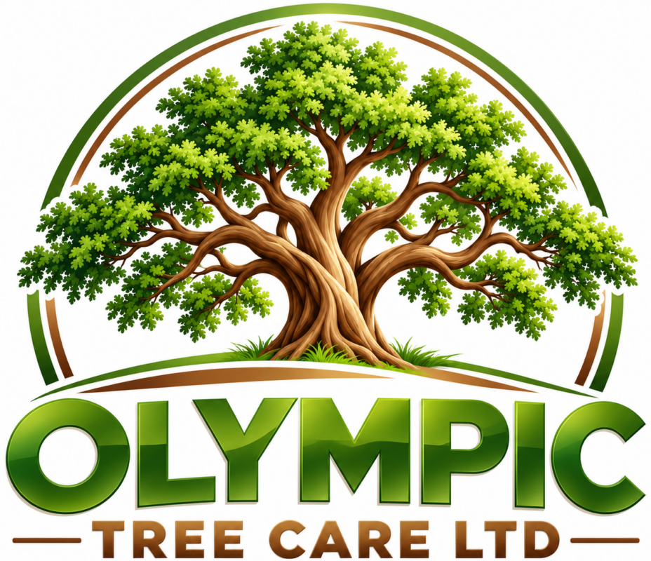 Olympic Tree Care Ltd